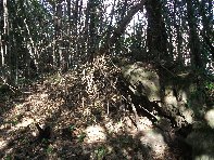 otta Comune-20100225 008